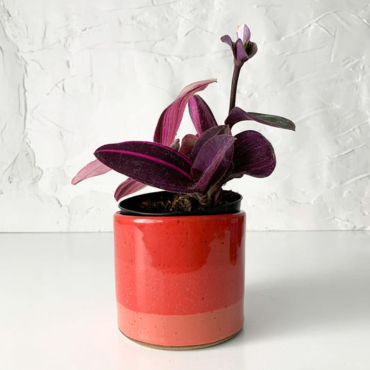 Longer Nights Small Stoneware Planter - Available in Assorted Colors