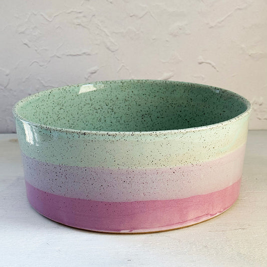 Brighter Days Large Bowl AS A PLANTER- Glaze Defect