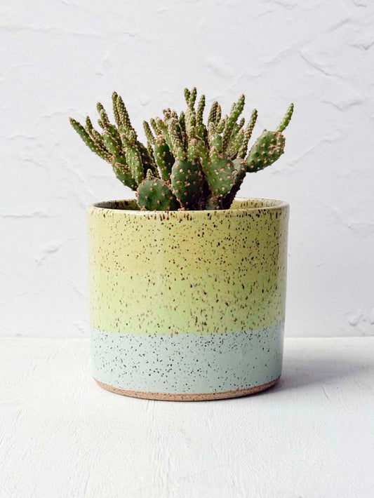 Brighter Days Stoneware Planter