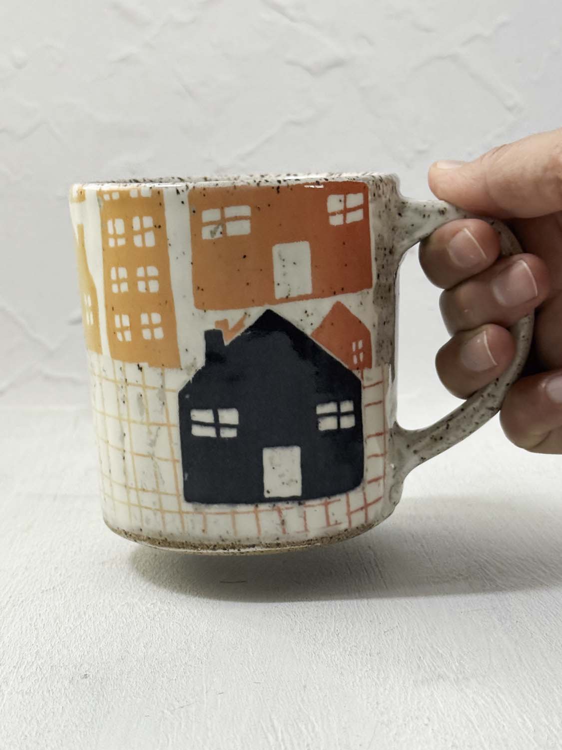Houses Mug