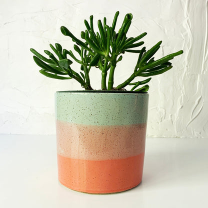 STONEWARE Brighter Days Medium Stoneware Planter - Available in Assorted Colors